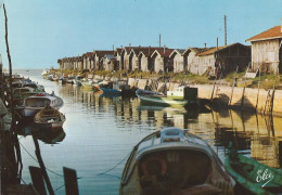 [33] Gironde >  Gujan Mestras Le Port Du Canal - Gujan-Mestras