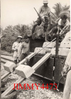 CPM - Thaïland - State Railway - The First RS - Descriptif Au Dos - N° 99 - Photo Derniame - Edit. STEDEF A 500. 9. 60 - Zubehör