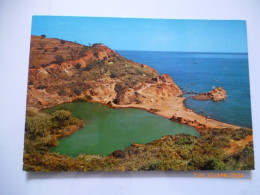 Cartolina Viaggiata "Isola D'Elba PORTOAZZURRO Laghetto Di Terra Nera"  1982 - Livorno