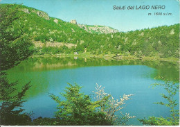 Ferriere (Piacenza) Appennino Ligure Emiliano, Lago Nero, Panorama Estivo, Nero Lake, Summer View - Piacenza