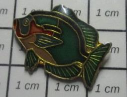 511A Pin's Pins / Beau Et Rare : ANIMAUX / POISSON EXOTIQUE NOIR VERT - Animali