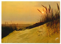 CPSM / CPM 10.5 X 15 Coucher De Soleil Dans Les Dunes - Contre La Lumière