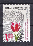 BOSNIA AND HERZEGOVINA  2024,POST MOSTAR,World Parkinson's Day ,MNH - Bosnien-Herzegowina
