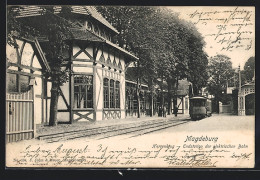 AK Magdeburg, Herrenkrug, Endstation Der Elektrischen Bahn  - Maagdenburg