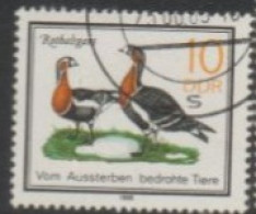 1985 DDR USED STAMP ON BIRD/Protected Animals/Branta Ruficollis-Geese - Geese