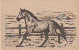 Carte En Bois 9x14. CHEVAL Dans Enclos - Other & Unclassified