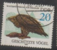 1982 DDR USED STAMP ON BIRD/Protected Animals/Haliaeetus Albicilla-Eagle - Aquile & Rapaci Diurni