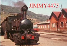 CPM - TRAIN PERIODIQUE EN GARE DU CHEYLARD - Ligne De LA VOULTE SUR RHÔNE à DUNIERES  - N° 30 - Photo Henri DOMENGIE - Stations With Trains