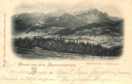 APPENZELLER, GOLDACH, ST. GALLEN, LANDSCAPE, MOUNTAIN, SWITZERLAND, POSTCARD - Goldach