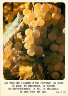 Vignes - Grappe De Raisin Blanc - CPM - Voir Scans Recto-Verso - Vignes