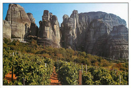 Vignes - Un Des Plus Vieux Vignobles Du Monde, Au Pied Des Monts Météore En Thessalie En Grèce - CPM - Carte Neuve - Voi - Weinberge