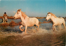 Animaux - Chevaux - Camargue - Chevaux Camarguais Dans Les Marais - Carte Neuve - CPM - Voir Scans Recto-Verso - Chevaux