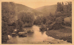 LES PYRENEES LA CORVEE D'EAU ATTELAGE DE BOEUFS - Teams