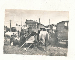 13 // SAINTES MARIES DE LA MER - PELERINAGE   Halte Brève - Les Gitans Campent Sur Leur TERRE SAINTE - Saintes Maries De La Mer