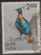 1975 INDIA USED STAMP ON BIRD/ Lophophorus Impejanus-Himalayan Monal - Hühnervögel & Fasanen