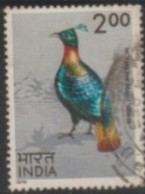 1975 INDIA USED STAMP ON BIRD/ Lophophorus Impejanus-Himalayan Monal - Galline & Gallinaceo