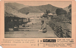 NOUVELLE CALEDONIE - Tiroirs Pour Le Séchage Du Café Au Soleil à Canala - Animé - Carte Postale Ancienne - New Caledonia