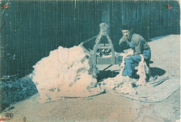 FRANCE - Les Petits Métiers De Chez Nous - Survivance Du Passé - Le Matelassier Cardant Sa Laine- Carte Postale Ancienne - Ambachten