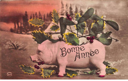 Animaux - N°80664 - Cochon - Bonne Année - Un Cochon Avec Sur Le Dos Du Houx Et Du Gui - Schweine