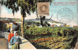 Espagne - N°79388 - LAS PALMAS - GRAN CANARIA - Nopales Y Planateras De Guia - Gran Canaria