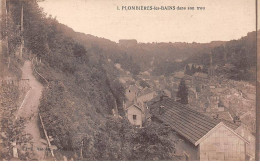 88 - PLOMBIERES LES BAINS - SAN24955 - Dans Son Trou - Plombieres Les Bains