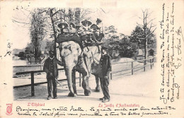 75 - PARIS - SAN28360 - L'Eléphant - Le Jardin D'Acclimatation - Parques, Jardines