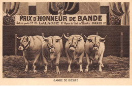 75019 - PARIS - SAN29971 - Prix D'Honneur De Bande - Bande De BÅufs - Arrondissement: 19