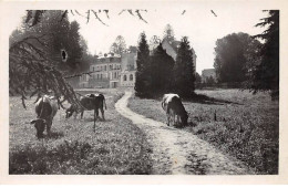 77 - Faremoutiers - SAN23070 - Abbaye - CPSM 14X9 Cm - Faremoutiers