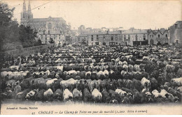 49.AM17958.Cholet.N°43.Champ De Foire Un Jour De Marché (bêtes à Cornes).Agriculture - Cholet