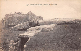 56 - LOCMARIAQUER - SAN28024 - Dolmen Du Mané Lud - Locmariaquer