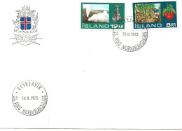 Iceland Island 1973 Greenhouse Crops, With Special Cancellation 19,11,75 Nordisk Råd, MI 465-466 - Covers & Documents