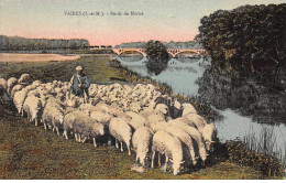 77.AM17487.Vaires Sur Marne.Bords De Marne.Agriculture - Vaires Sur Marne