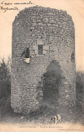 77 - LORREZ LE BOCAGE - SAN41618 - Tour Du Moulin à Vent - Lorrez Le Bocage Preaux