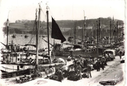 D7664 Douarnenez Le Port De Pèche - Douarnenez