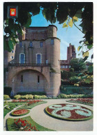 CPSM / CPM 10.5 X 15 Tarn ALBI Le Palais De La Berbie Et Ses Jardins (XIII° Et XIV° S.) - Albi