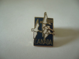 PIN'S PINS PIN PIN’s ピンバッジ  CANADA CANARDS EN VOL - Animals