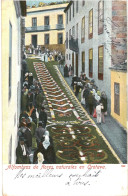 CPA Carte Postale Espagne Tenerife Orotava Alfombras De Flores Naturales 1904  VM79890 - Tenerife