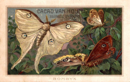 CHROMO CACAO VAN HOUTEN PAPILLONS BOMBYX - Van Houten