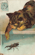 ANIMAUX & FAUNE - Chat Jouant Avec Un Insecte - Carte Postale Ancienne - Cats