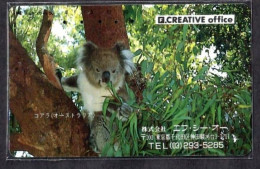 Japan 1V Koala F. Creative Office Advertising Used Card - Selva