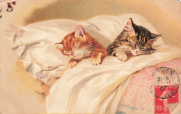 ANIMAUX & FAUNE - Chats - Carte Postale Ancienne - Katzen