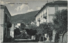 1929-Imperia Ospedaletti Via Vittorio Emanuele - Imperia