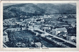 1947-Sequals (Pordenone) Panorama Viaggiata - Pordenone
