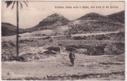 1913-l'ultima Palma Sotto Il Gebell,alla Fonte Di Bu Gheilan,bollo 3^ Compagnia  - Libia