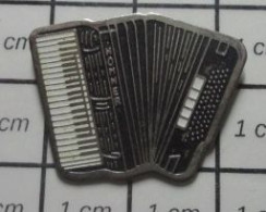 1116C Pin's Pins : BEAU ET RARE /  MUSIQUE / ACCORDEON HOHNER NOIR ET BLANC - Muziek