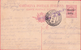 1919-Venezia Giulia Cartolina Postale 10c.rosa Soprastampato - Venezia Giuliana