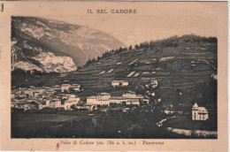 1924-Belluno Pelo's Di Cadore,viaggiata - Belluno