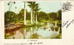 1904-Hawaii Cartolina Illustrata Moanalua Affrancata Coppia 1c. Franklyn Annullo - Hawai