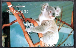 Japan 1V Koala Kenwood Used Card - Dschungel