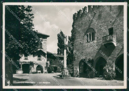 Piacenza Vigolzone Grazzano Visconti Foto FG Cartolina ZKM8434 - Piacenza